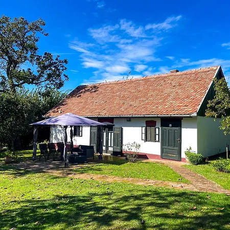 Apartament Fuege Major Balatonlelle