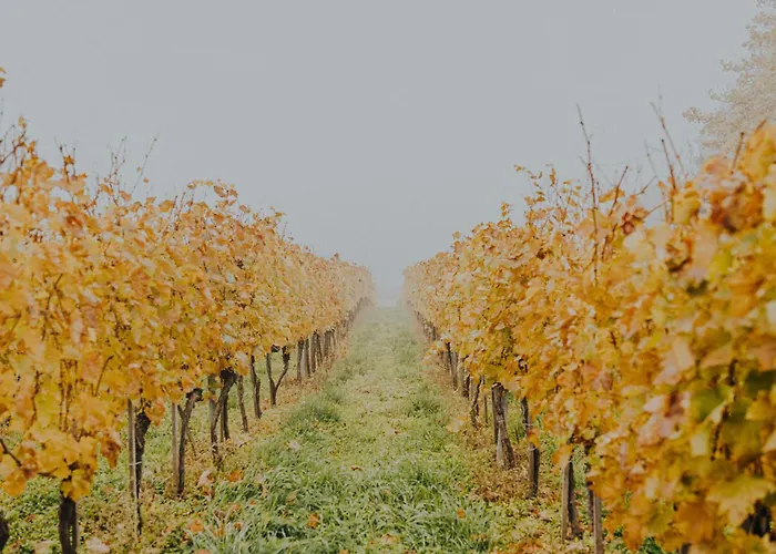 דירה Fuege Major *