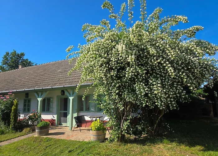 Fuege Major בלטונללה